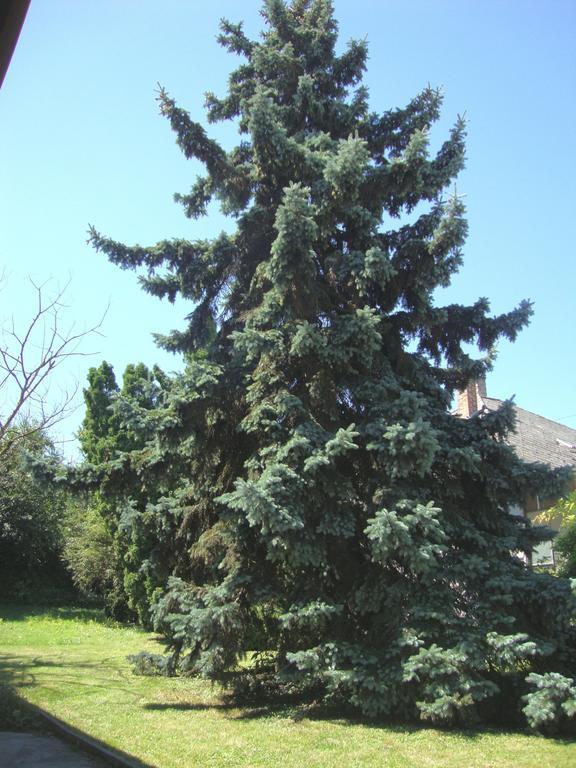 Appartement Gyöngyvirág Vendégház à Balatonboglár Extérieur photo